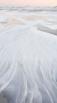 WINTER portfolio