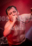 Pigsx7-101
