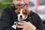 BPP_0476