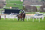 240126-Race 5-Spillanes Tower-7120