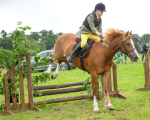 Dunblane show-164