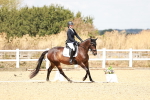 SBM_018188