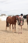 SBM_05036