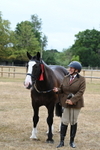 Gelding Champs portfolio