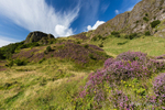 Looking to McArts Fort, Cave Hill, Belfast.