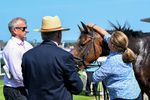 230626-Race 3-Tamzan-0782