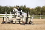 SBM_03941