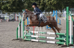 North Showjumping_2016-8