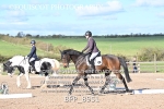 BPP_8951