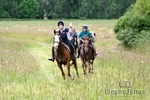 NewWJ6_8174