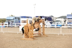 SBM_06751