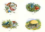 In Fairyland 20