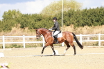 SBM_004176