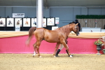 SBM_02231
