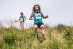 Steel Fell-500
