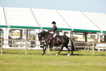 SBM_20106