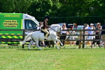 SBM_07771