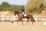 SBM_017526
