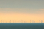 RLP_9650-894