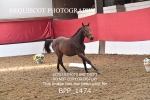 BPP_1474