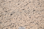241005A-104711-03164