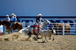 3HRodeo8-11-25_PRCASteer_02114_