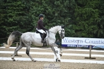 216-Cheryl_Forster-Whitesparke_Royal portfolio