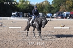 BPP_8916
