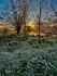 Sunrise Autumn 1~ Blackwater and Chelmer Canal