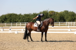 SBM_006422