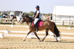 SBM_002672
