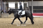 BPP_8146