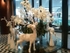 1 -White Corporate Christmas