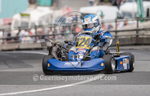 Guernsey National Hillclimb 2017_KART-25
