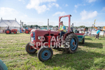 Guernsey Agricultural Show 2021-273