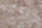 240107A-091232-00046