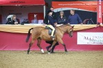 SBM_09664