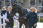 241025-Race 4-Gower Spirit-3553
