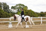 SBM_006355