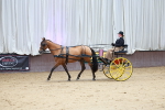 SBM_001062
