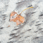 DASHES - LONG POINT BEACH