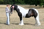 WJ7_9768