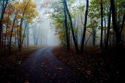 Scenics and Life portfolio