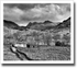 Double Bend ♦ BRIDGE END FARM