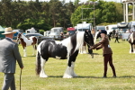 SBM_04233