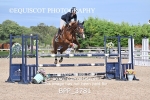 BPP_3781