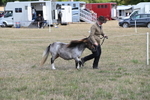 WJ6_6854