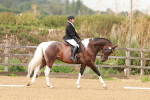 SBM_001906