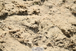 251004A-145729-01601