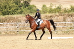 SBM_003550